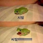 [댓글부탁해] 유<b>딩</b><b>때</b>부터 친구가 쓰레기된듯..