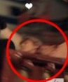 [EXO] <b>구사</b>즈 광고 찰영중 몰래 데이트 하다 찍혀