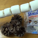 [소리먹방] 솔방울로 <b>마쉬</b>멜로우 구워먹기