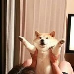 교복위에 뭐<b>입지</b>