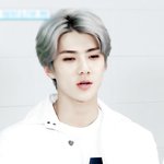 [EXO] 세후니 <b>투</b><b>디미</b>ㅠㅜㅜㅠ