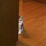 [댓글부탁해] <b>미대</b>입시생입니다 한번만 봐주세요