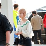 살 오른 <b>초아</b>