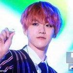 [EXO] <b>정상인</b>애들 없냐