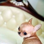 [EXO] 장작충년들 평생 하는일마다 <b>폭망</b>