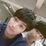 [세븐틴] 둘 중 뭐가 더 보고싶어