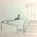 제발 애완<b>동물</b>을 버리지 마세요(버림받은 고양이 이야기).