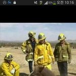 [방탄소년단] 이 말을 어떻게 꺼내야할지..