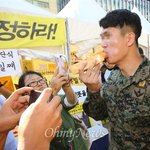 작년 광화문 일베 사진