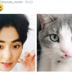 [시우민] 귀여운 시우민은 슈냥인가 슈<b>햄</b><b>찌</b>인가!ㅋㅋ