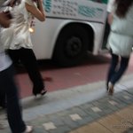 파오<b>후년</b>들 특징 