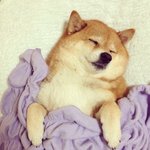 일체형<b>pc</b> 웬만하면 사지마라...ㅠㅠ