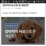 <b>초롱</b>한 우리 반려견들은 어떻게 보일까요