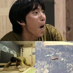 [댓글부탁해] 내 가수중 숨겨진 예능인 얘기하자