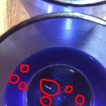 [억울속상] 쿠쿠정수기고발이요ㅠㅠ!!