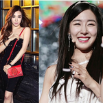 [드루와] 귀요미 푸들몬 티파니, 숨길수 없는 러블리 매력! 