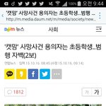 <b>캣맘</b> 사건 용의자 초등학생이래 