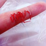 [댓글부탁해] 약혐)내 친구 조카 미친거같아;