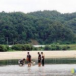 [추억팔아요] 애견 기사 중에 제일 가슴 아팠던 사연
