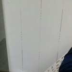<b>집</b>에 모르는 아기<b>새</b>가..