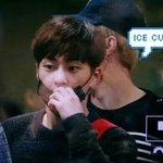 [EXO] 오늘 정말 아기냥같다