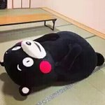 [EXO] 나 <b>이런</b> <b>사진</b> 좀 줘라