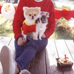 [크림일기] 크림이 생일파티하고 인천<b>대공원</b> 나들이했어요~