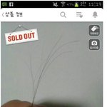 [콜로라도] 대단한 어느 아이돌 그룹팬들...