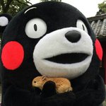 [EXO] <b>쿠마</b>몬얼굴보기보다역겨운ㅂㅅ새끼