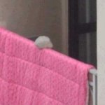 3천원이 아까워서 사람죽이려구??