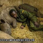 <b>동물</b>과 사람의 감동적인 인연