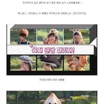 막이래쇼 혜인이 진짜 이쁘지 않음???? 