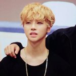 김진환 씹덕퍼레이드