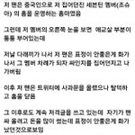 [드루와] 신인아이돌의 무개념 팬