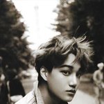 [카이] 종인이 일본 디융스 포스트카드 <b>스캔</b>본