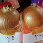 [실험] 양파 실험 <b>이틀째</b>!!