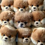 [EXO] 심횽탁씨 <b>왕따</b>당했었대
