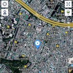 [고양이] <b>목동</b>에서 러시안블루 고양이를 찾습니다.