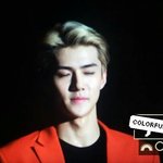 [EXO] <b>세후</b>니 눈감아떠요