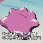 요즘 너무 힘들다 왜이러지....