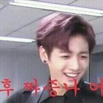 [방탄소년단] 으으으 입스밍년