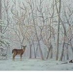 [추억팔<b>아요</b>] 아이큐 160이상만 보인다는 사진