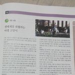 길고양이에 대한 편견을 가진 기자