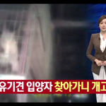 [토마호크] 채널<b>A</b>뉴스 제목: 개고기<b>집</b>에 유기견 보낸 동물보호소...