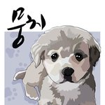 [꽁프로젝트] [꽁이프로젝트]진행중진행중3