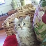 너구릭제임스입니다 ㅎ