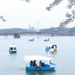 서천호 가서 <b>오리</b>배 타고 싶다ㅠㅠ