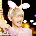 [백현] 백현’s SECOND BOX DVD_<b>Teaser</b> 2