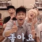[세븐틴] ㅅㅂ 개떨려
