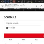 [세븐틴] 시붜류ㅠ